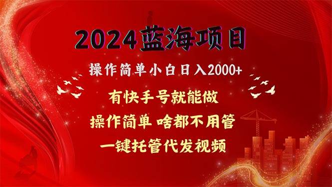 2024蓝海项目，网盘拉新，操作简单小白日入2000+，一键托管代发视频，…-廉价云资源网