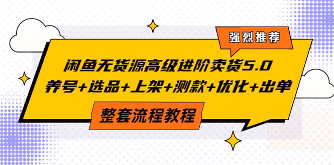 闲鱼无货源高级进阶卖货5.0，养号+选品+上架+测款+优化+出单整套流程教程-廉价云资源网