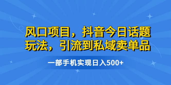 风口项目，抖音今日话题玩法，引流到私域卖单品，一部手机实现日入500+-廉价云资源网