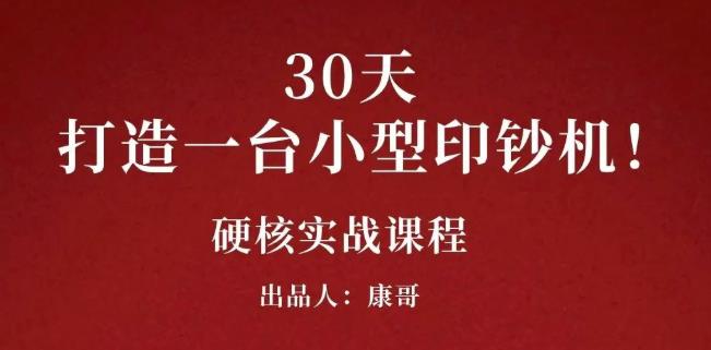 康哥30天打造一台小型印钞机：躺赚30万的项目完整复盘（视频教程）-廉价云资源网