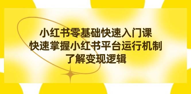 小红书0基础快速入门课，快速掌握小红书平台运行机制，了解变现逻辑-廉价云资源网