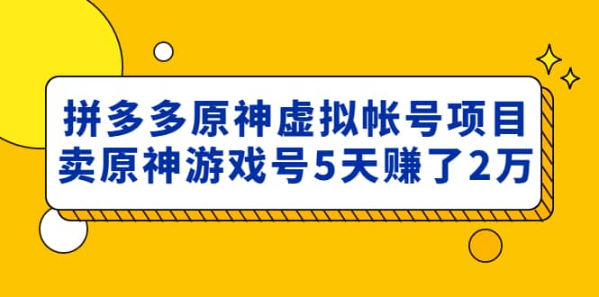 外面卖2980的拼多多原神虚拟帐号项目-廉价云资源网