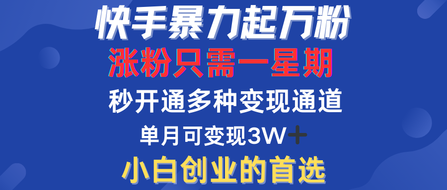 快手暴力起万粉，涨粉只需一星期！多种变现模式-廉价云资源网