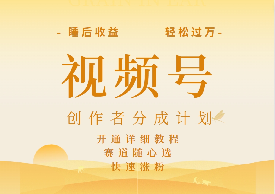 详解视频号创作者分成计划，暴力起号，可同步多平台，实现睡后收入2W+，看懂即可操作！-廉价云资源网