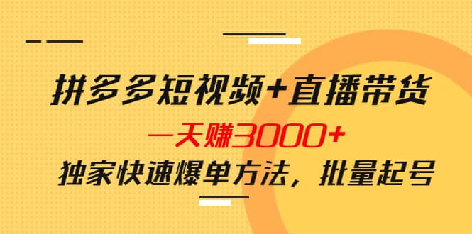 拼多多短视频+直播带货，一天赚3000+独家快速爆单方法，批量起号-廉价云资源网