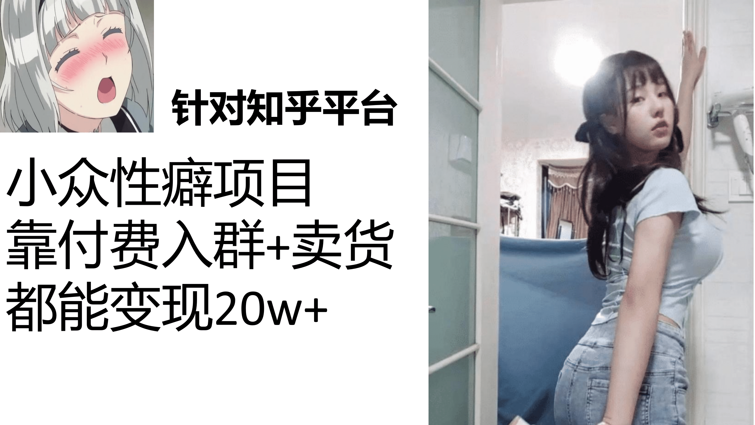 知乎小众性癖项目，Lsp的钱才是最好赚的，付费建群+卖货变现20w-廉价云资源网