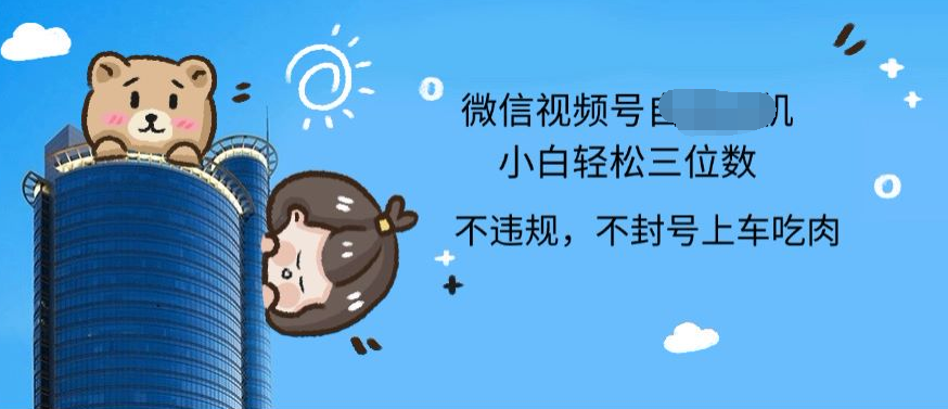 2024最新微信视频号挂机小白可上手，轻松日入三位数-廉价云资源网