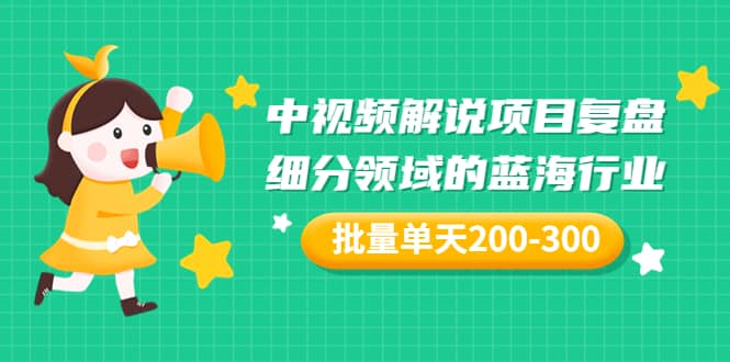 某付费文章：中视频解说项目复盘：细分领域的蓝海行业 批量单天200-300收益-廉价云资源网