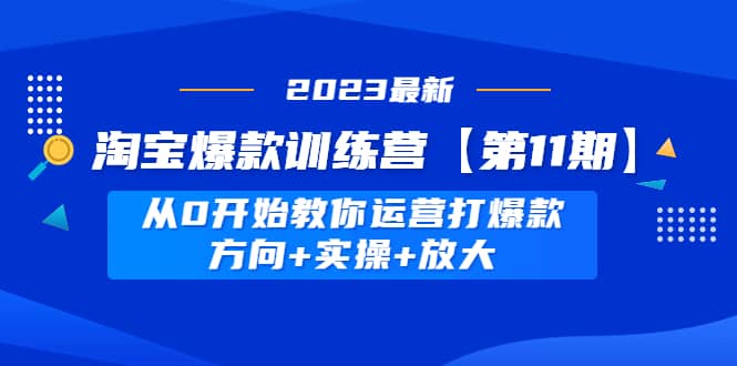 淘宝爆款训练营【第11期】 从0开始教你运营打爆款，方向+实操+放大-廉价云资源网
