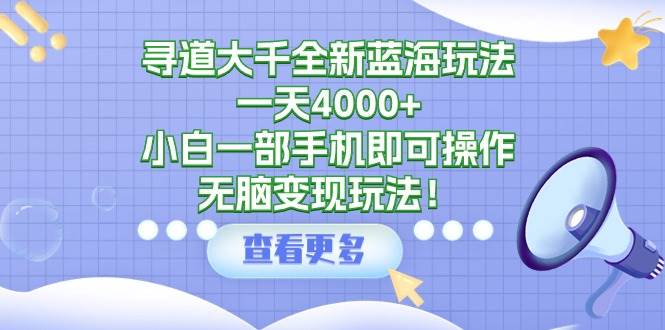 寻道大千全新蓝海玩法，一天4000+，小白一部手机即可操作，无脑变现玩法！-廉价云资源网