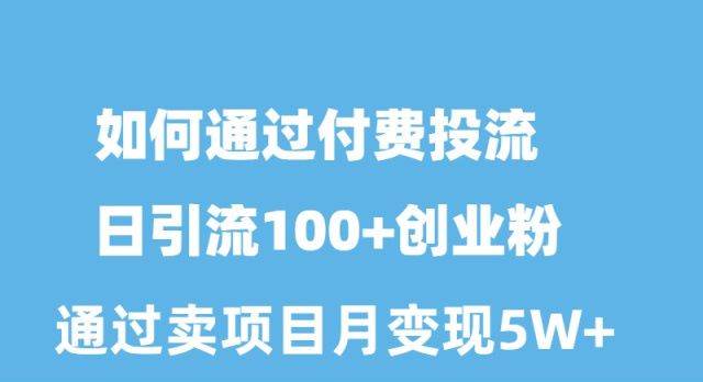 如何通过付费投流日引流100+创业粉月变现5W+-廉价云资源网