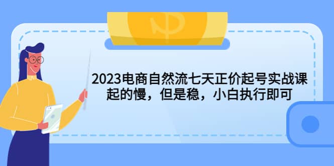 2023电商自然流七天正价起号实战课：起的慢，但是稳，小白执行即可-廉价云资源网