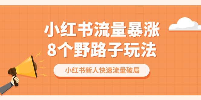 小红书流量-暴涨8个野路子玩法：小红书新人快速流量破局（8节课）-廉价云资源网