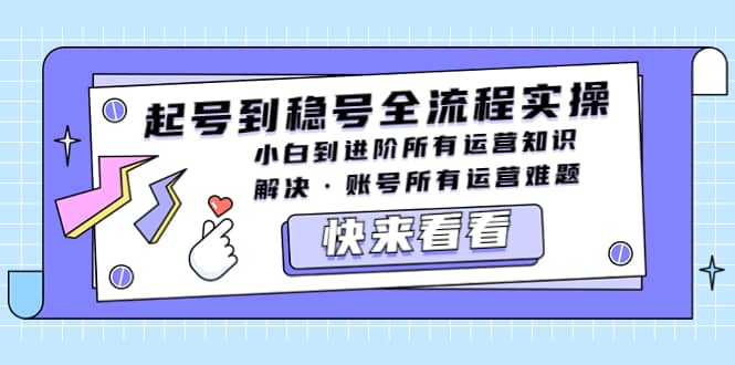 起号到稳号全流程实操，小白到进阶所有运营知识，解决·账号所有运营难题-廉价云资源网