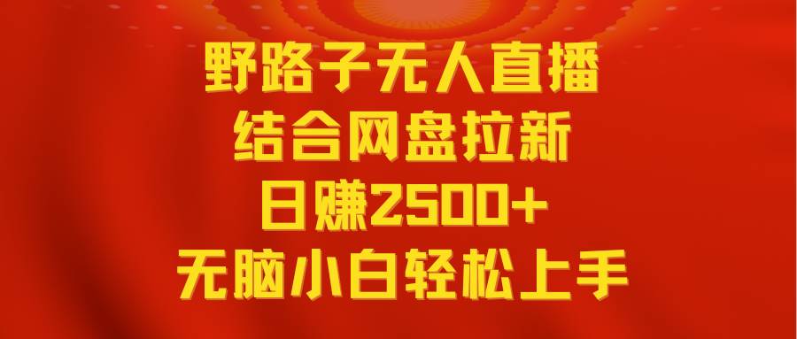 无人直播野路子结合网盘拉新，日赚2500+多平台变现，小白无脑轻松上手操作-廉价云资源网