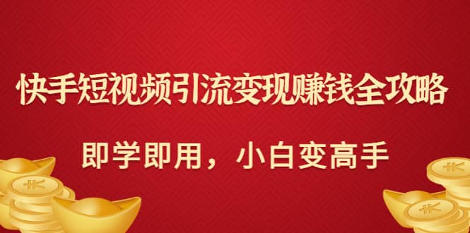快手短视频引流变现赚钱全攻略：即学即用，小白变高手（价值980元）-廉价云资源网