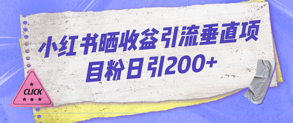 小红书晒收益图引流垂直项目粉日引200+-廉价云资源网