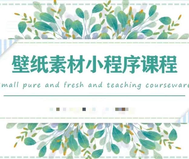 闪闪壁纸号运营教程，抓住图文风口，快速吸粉变现-廉价云资源网