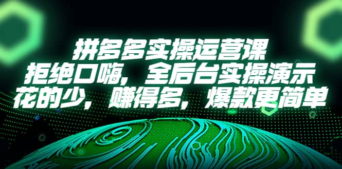 拼多多实操运营课：拒绝口嗨，全后台实操演示，花的少，赚得多，爆款更简单-廉价云资源网