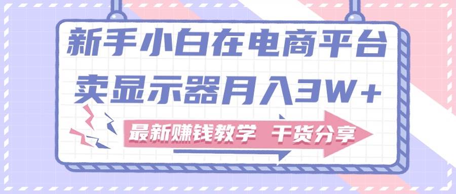 新手小白如何做到在电商平台卖显示器月入3W+，最新赚钱教学干货分享-廉价云资源网