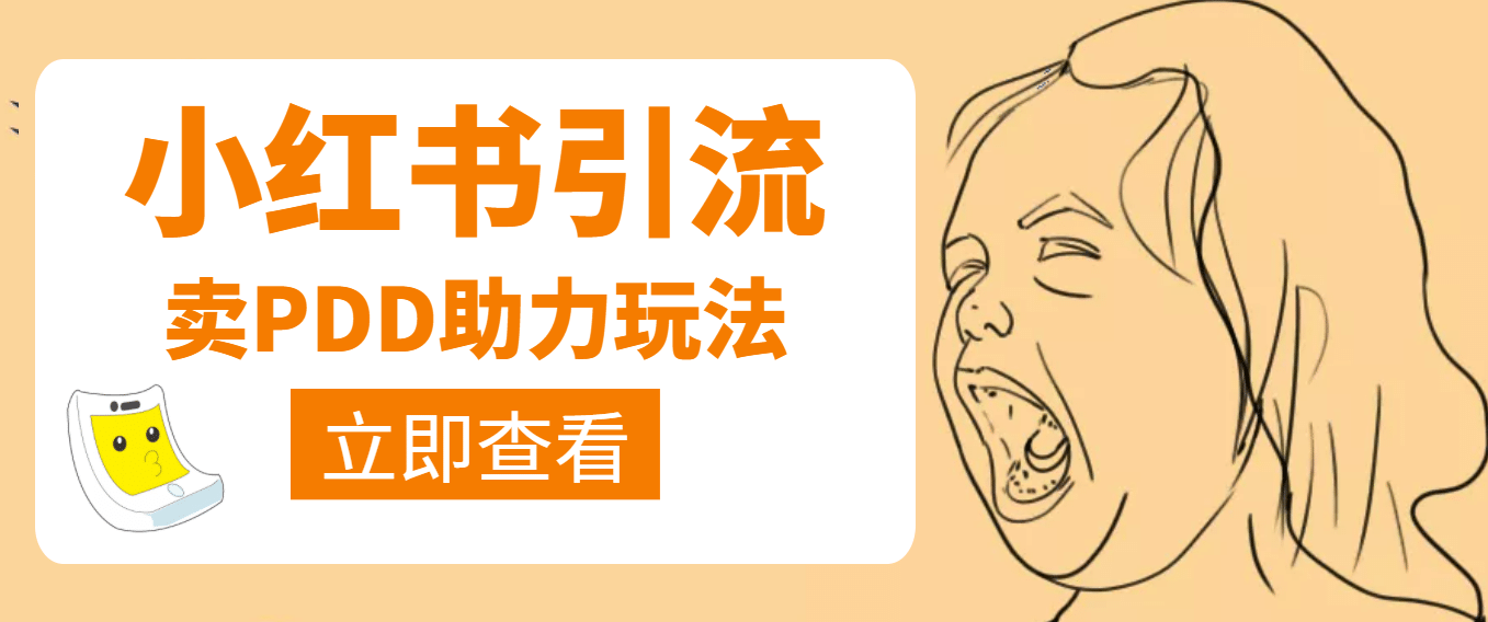 利用小红书卖拼多多助力-廉价云资源网