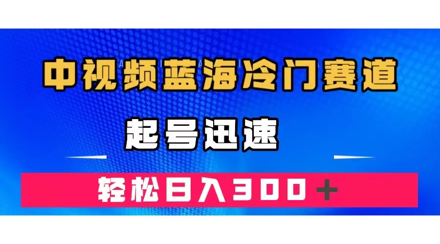 中视频蓝海冷门赛道，韩国视频奇闻解说，起号迅速，日入300＋-廉价云资源网