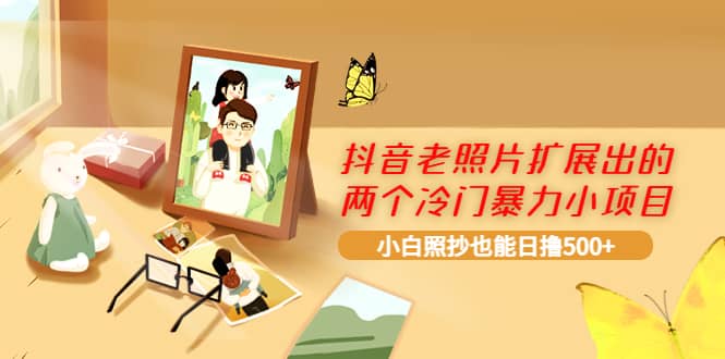 抖音老照片扩展出的两个冷门暴力小项目，小白照抄也能日撸500+-廉价云资源网