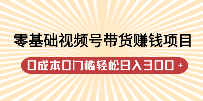 零基础视频号带货赚钱项目，0成本0门槛轻松日入300+【视频教程】-廉价云资源网