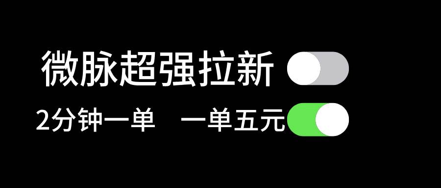 微脉超强拉新， 两分钟1单， 一单利润5块，适合小白-廉价云资源网
