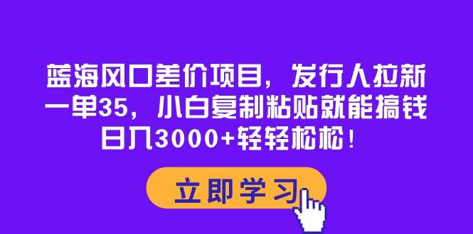 蓝海风口差价项目，发行人拉新，一单35，小白复制粘贴就能搞钱！日入3000+轻轻松松-廉价云资源网