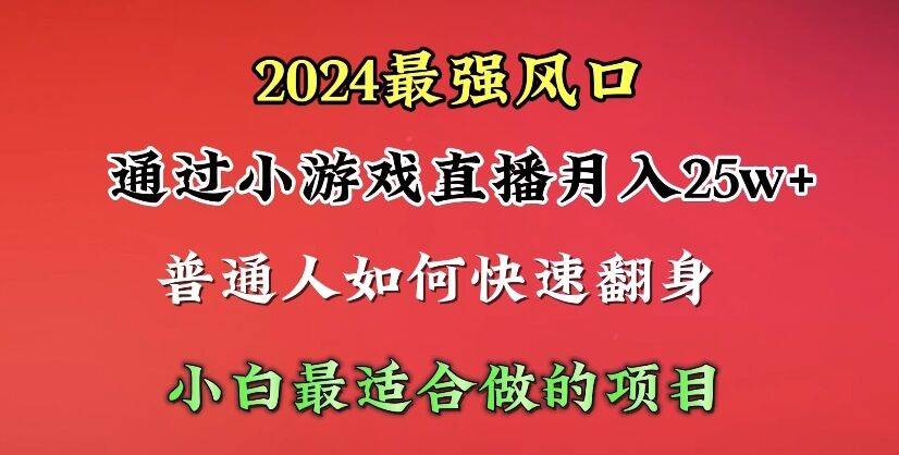 2024年最强风口，通过小游戏直播月入25w+单日收益5000+小白最适合做的项目-廉价云资源网