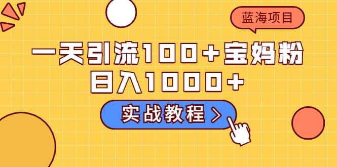 一天引流100+宝妈粉，日入1000+的蓝海项目（实战教程）-廉价云资源网