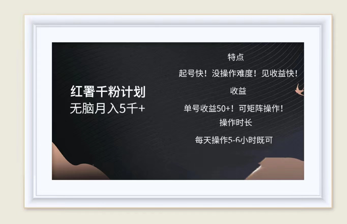 红薯千粉计划无脑月入5千➕！既做既赚！-廉价云资源网