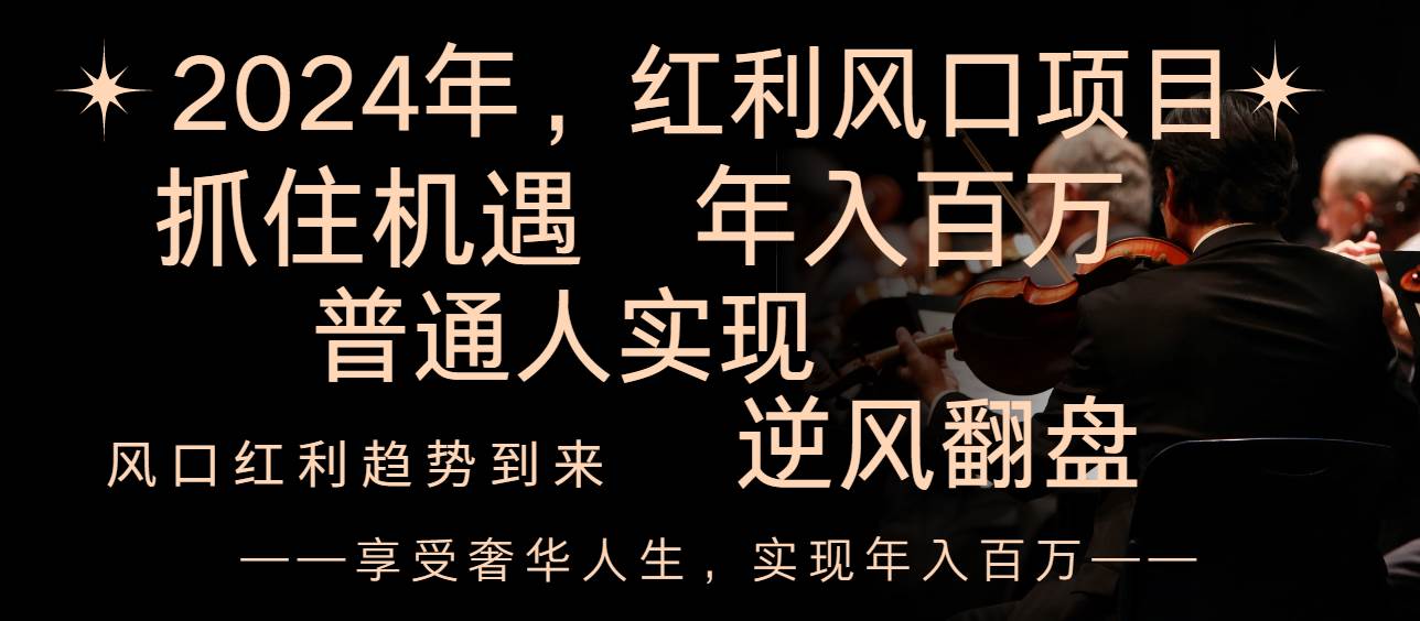 2024红利风口项目来袭，享受第一波红利，逆风翻盘普通人也能实现，年入百万-廉价云资源网