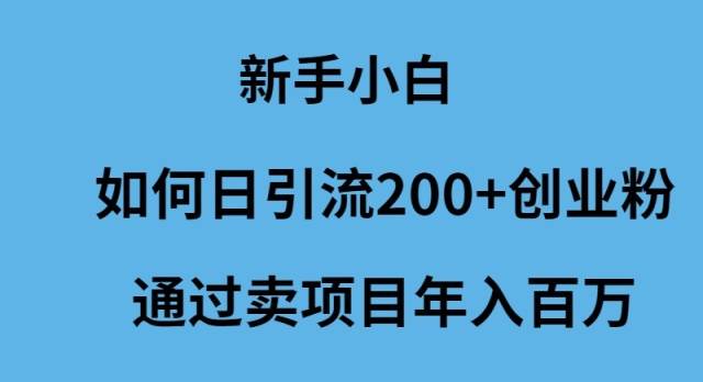 新手小白如何日引流200+创业粉通过卖项目年入百万-廉价云资源网