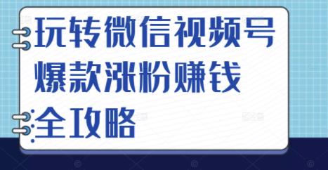 玩转微信视频号爆款涨粉赚钱全攻略，让你快速抓住流量风口，收获红利财富-廉价云资源网