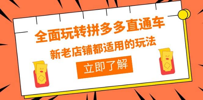 全面玩转拼多多直通车，新老店铺都适用的玩法（12节精华课）-廉价云资源网