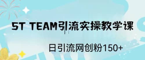 ST TEAM引流实操课，日引流网创粉100+-廉价云资源网