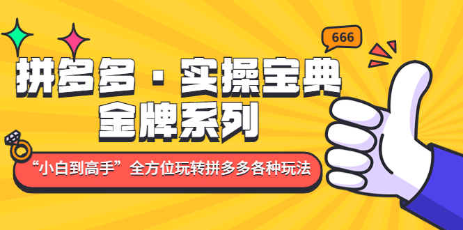 拼多多·实操宝典：金牌系列“小白到高手”带你全方位玩转拼多多各种玩法-廉价云资源网
