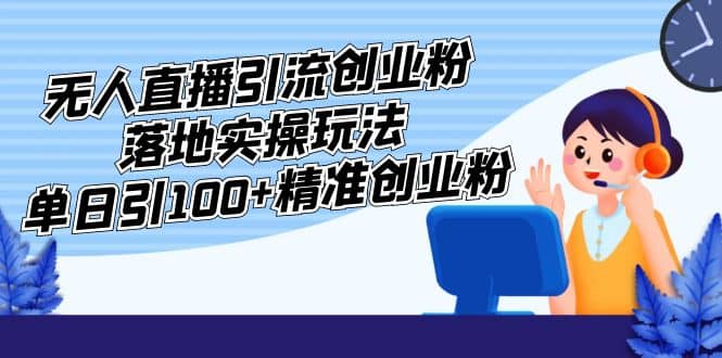 外面收费3980的无人直播引流创业粉落地实操玩法，单日引100+精准创业粉-廉价云资源网