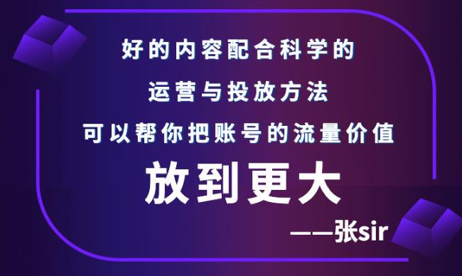 张sir账号流量增长课，告别海王流量，让你的流量更精准-廉价云资源网