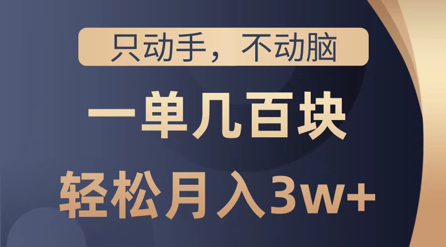 只动手不动脑，一单几百块，轻松月入2w+，看完就能直接操作，详细教程-廉价云资源网