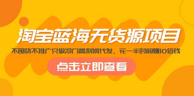 淘宝蓝海无货源项目，不囤货不推广只做冷门高利润代发-廉价云资源网