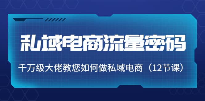 私域电商流量密码：千万级大佬教您如何做私域电商（12节课）-廉价云资源网