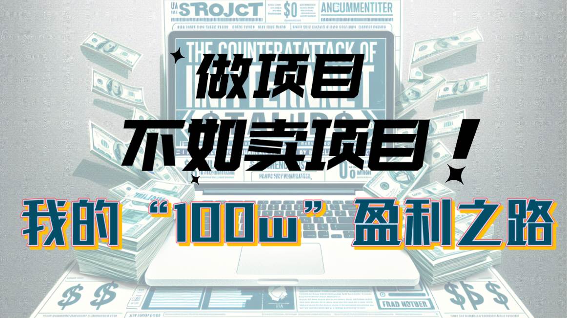 为什么做项目不如卖项目？我的100W+盈利之路-廉价云资源网