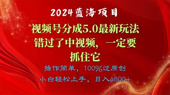 2024蓝海项目，视频号分成计划5.0最新玩法，错过了中视频，一定要抓住…-廉价云资源网
