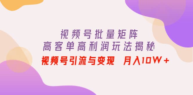 视频号批量矩阵的高客单高利润玩法揭秘-廉价云资源网