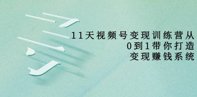 好望角·11天视频号变现训练营，从0到1打造变现赚钱系统（价值398）-廉价云资源网