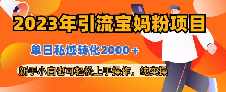 2023年引流宝妈粉项目，单日私域转化2000＋，新手小白也可轻松上手操作，纯实操-廉价云资源网