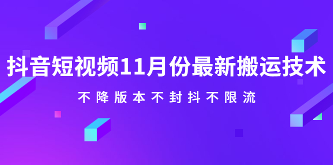 抖音短视频11月份最新搬运技术，不降版本不封抖不限流！【视频课程】-廉价云资源网